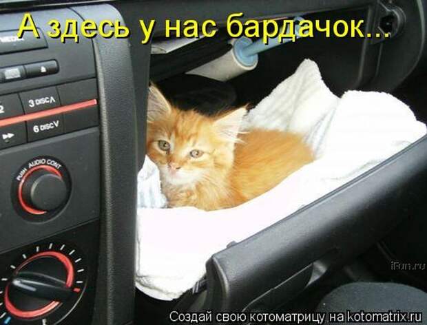 Мысли вслух :)