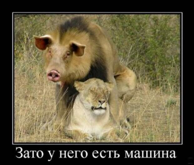 Прикольные Демы
