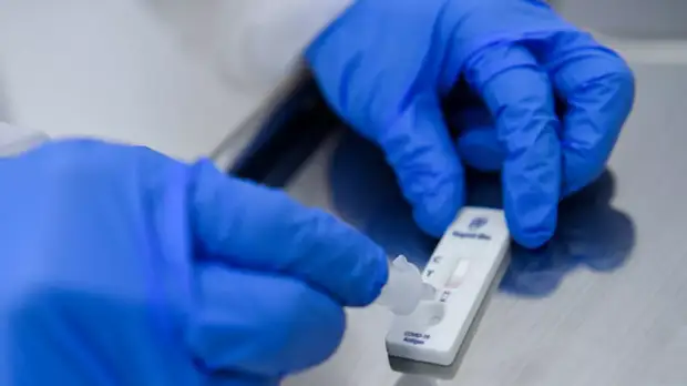 В ГД прокомментировали идею бесплатно раздавать экспресс-тесты на коронавирус