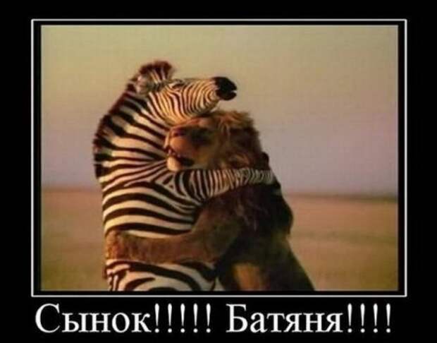 Веселые картинки демотиваторы.