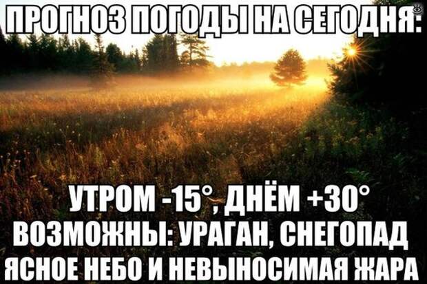 Фотозабавности и фотокурьёзы 4