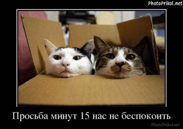 Смешные и прикольные демотиваторы (30 демотиваторов) Смешные и прикольные демотиваторы (30 демотиваторов)