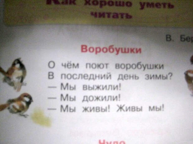 ляпы из учебников