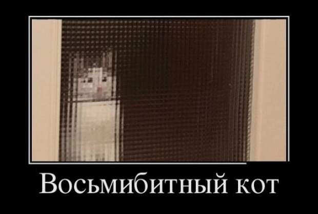 Демотиваторы (13.01.16)