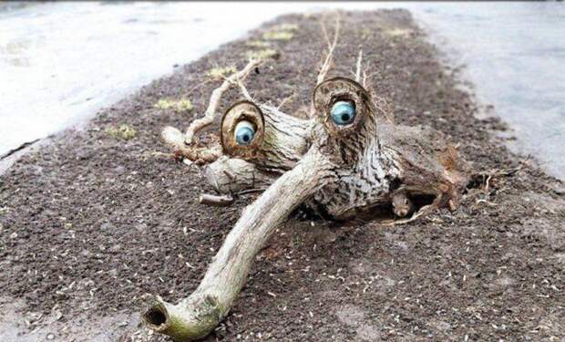 Прикольные картинки Прикольные картинки