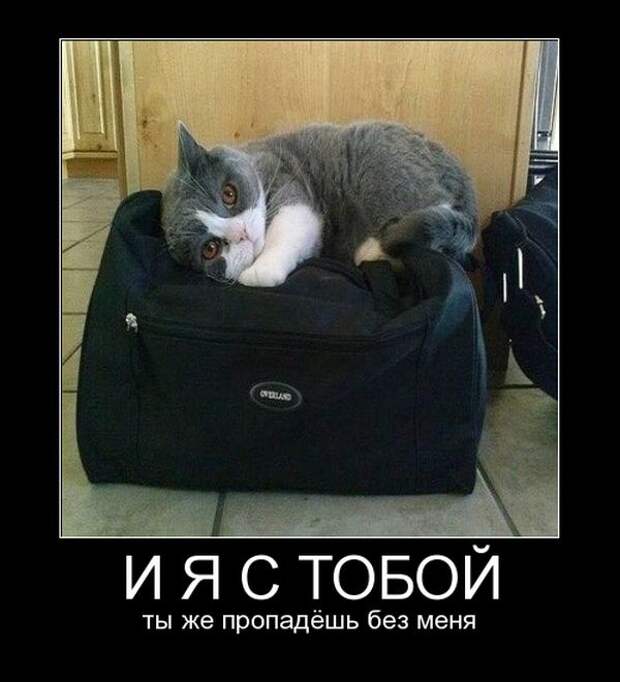 Демотиваторы (30 фото)