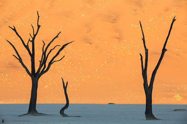21. Пустыня Намиб, Намибия земля, красота, планета, природа