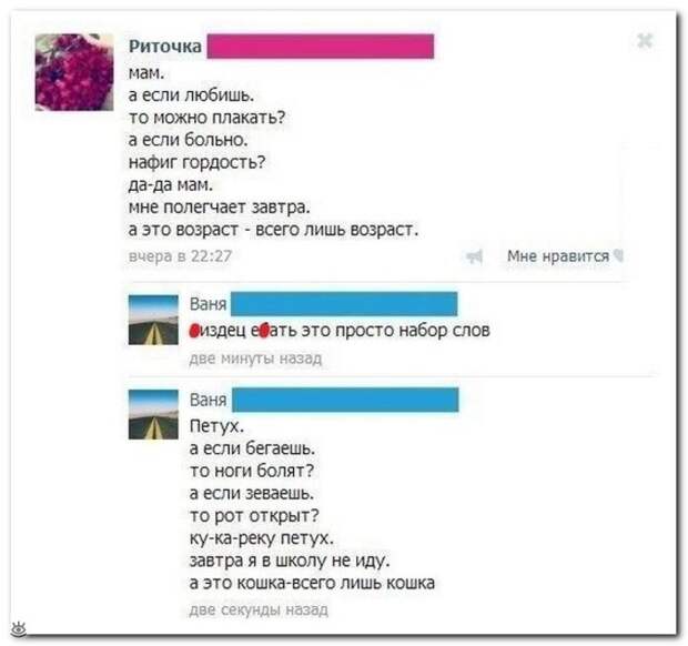 Комментарии, мимо которых не пройти 13
