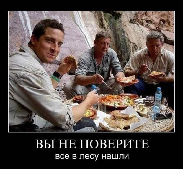 Демотиваторы про физику, золото и модель общественного поведения Демотиваторы про физику, золото и модель общественного поведения