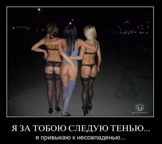 Демотиваторы (50 фото)