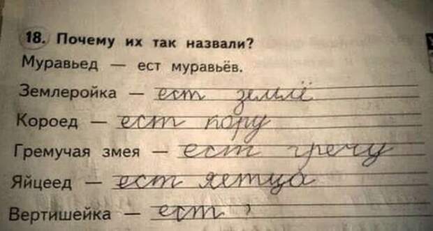 приколы из школьной жизни