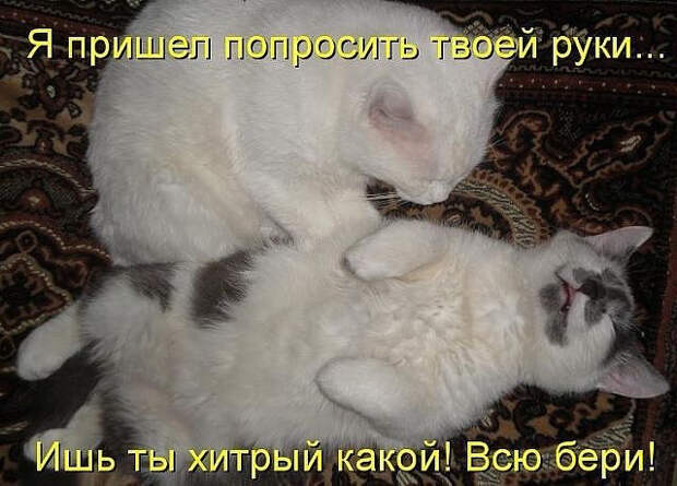 image (640x460, 219Kb)