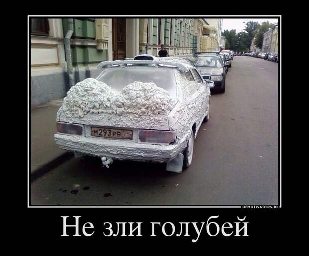 Лучшие демотиваторы дня