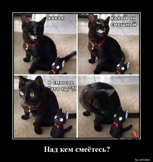 Демотиваторы прикольные: «Расставляй по фэншую…» (17 фото)