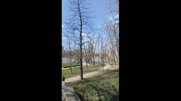 Video: VivaCut_video_1744645470657_HD.mp4