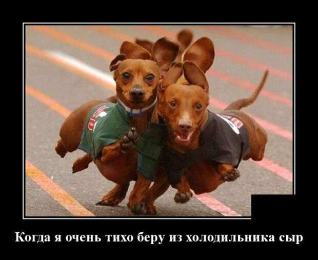 Демотиватор про еду