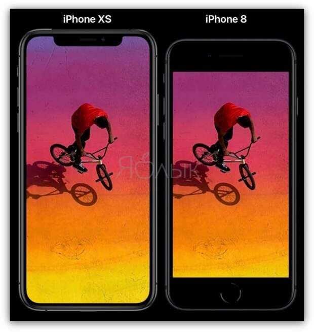 Размеры Сравнение размеров iPhone XR и iPhone 8 Plus