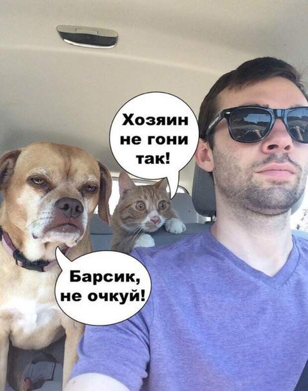 Прикольные картинки с подписями (23 шт)