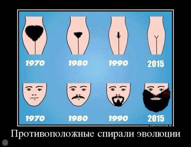 Фантазия, не унимайся! 17