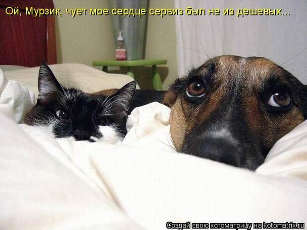 Мысли вслух :)