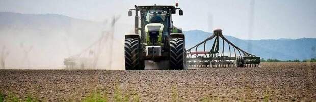 В Алматинской области подготовили 56 тысяч тонн семян к весенней посевной