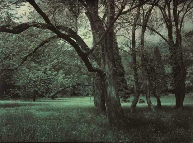 Первые русские цветные фотографии, 1910 г.