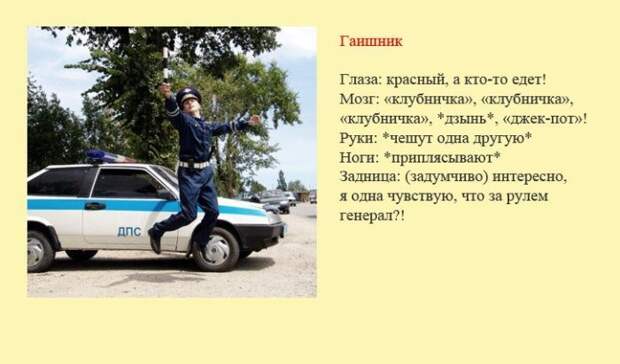 3286968_gaishnik (700x412, 50Kb)