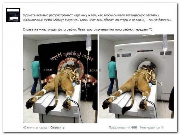 Смешные комментарии из социальных сетей