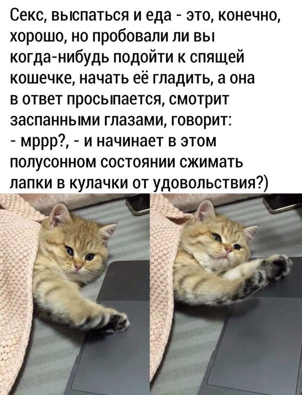 Прекрасный момент
