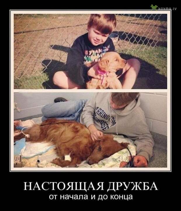 Демотиваторы. Часть 545 (30 картинок)
