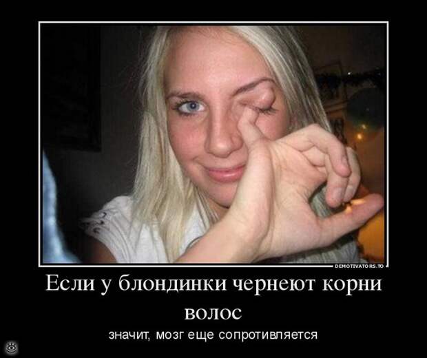 Безвозмездные демотиваторы 20
