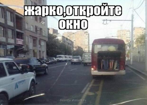 АВТОприкольные картинки для хорошего настроеия (31 шт)