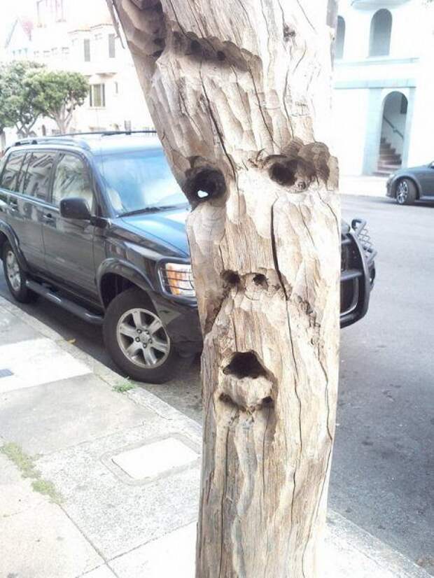 Они следят за тобой