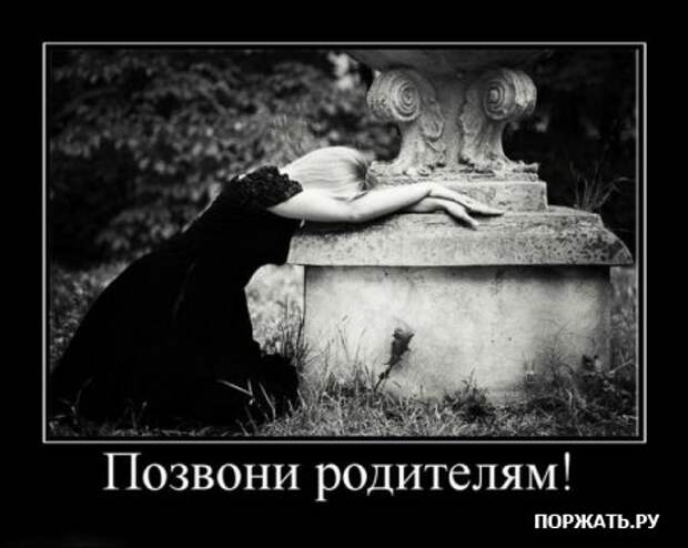 демотиваторс (23 фото)