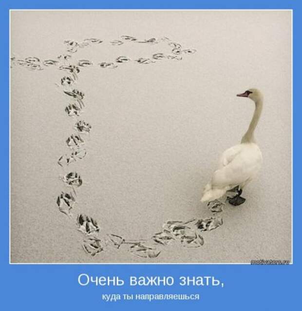 Немного картинок мотиваторов для раздумий.