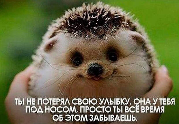 image (700x488, 333Kb)