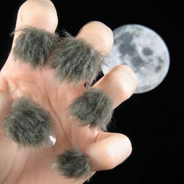 Пушистые ногти, Furry Nails