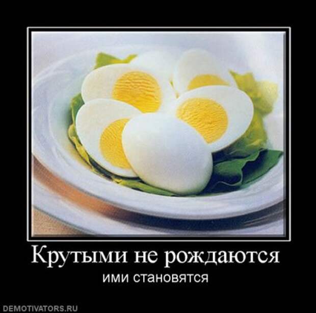 Новые прикольные демотиваторы, осторожно - будет очень смешно!