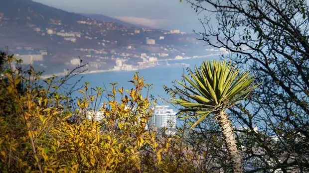 В Крыму пройдёт Всероссийский туристический форум-выставка «Интурмаркет»