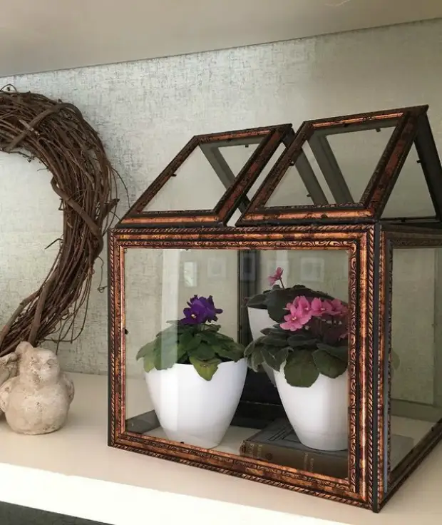 Декоративная теплица для комнатных цветов. | Фото: Pinterest. Декоративная теплица для комнатных цветов. | Фото: Pinterest.