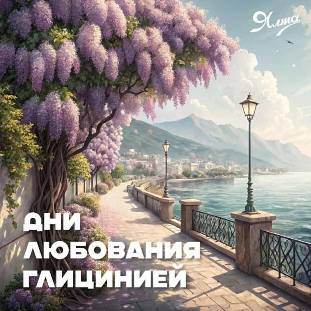 Дни любования глицинией в Ялте