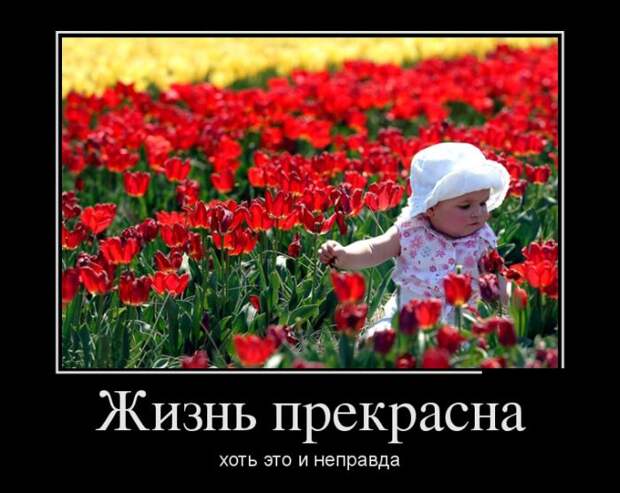 Демотиваторы (30 фото) Демотиваторы (30 фото)