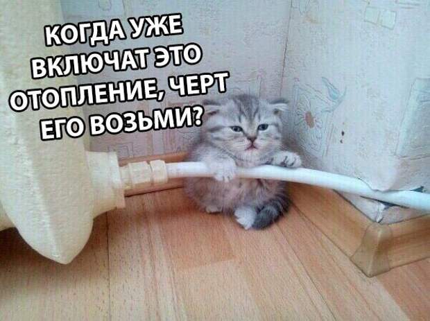 Просто картинки