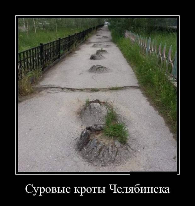 Демотиваторы (30 фото)