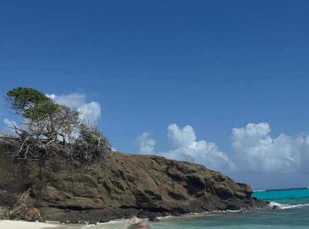 Вдова модельера Валентина Юдашкина показала фигуру в бикини