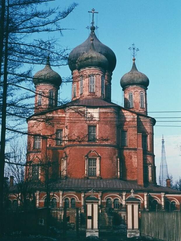Донской монастырь. СССР, Москва, 1950-е годы.
