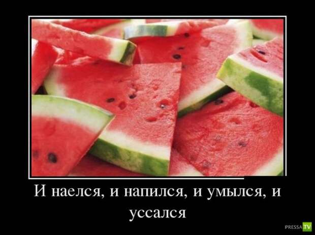 Демотиваторы на июль, часть 14 (29 фото) Демотиваторы на июль, часть 14 (29 фото)
