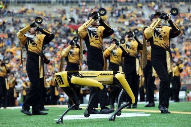 Missouri Marching Band Robot Dog Halftime Show Spot Dance Engineering