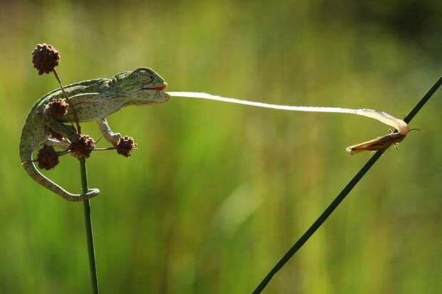 sony-world-photography-awards-2013 (28)