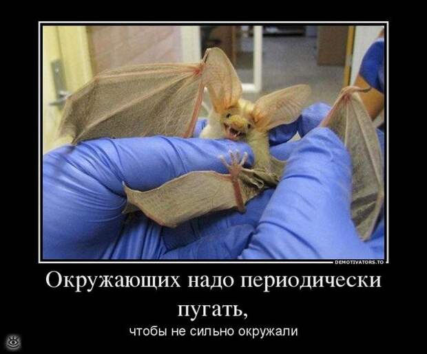 В поисках смысла 5